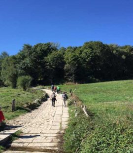 Camino De Santiago