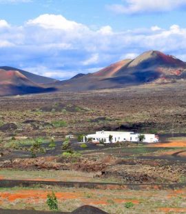 Lanzarote La Geria