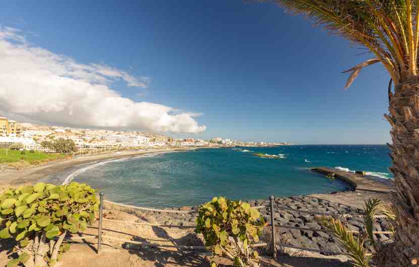 Playa Torviscas
