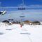 Sierre Nevada Skiing