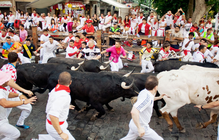 Bull Running Pamplona