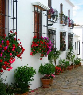 Marbella Old Town