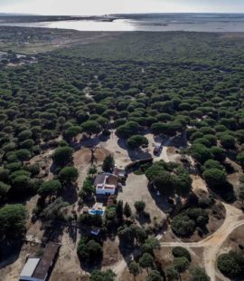 Glamping Dehesa de las Yeguas