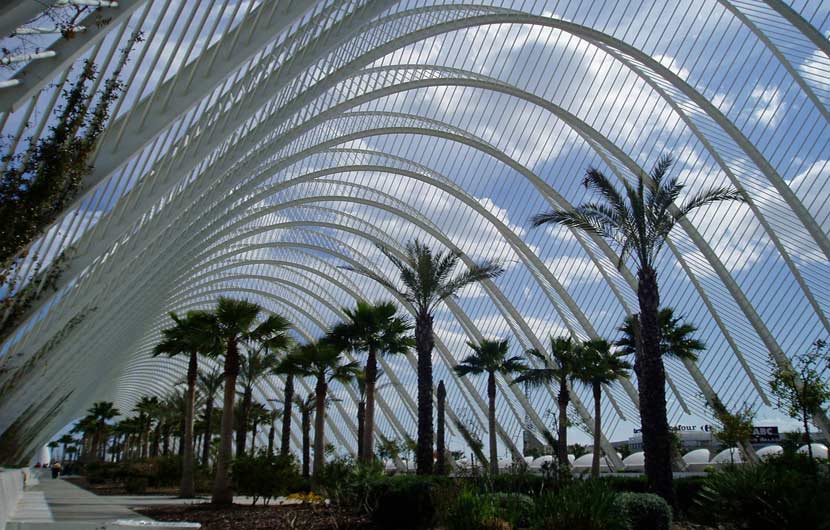 The Umbracle at the City of Arts and Science
