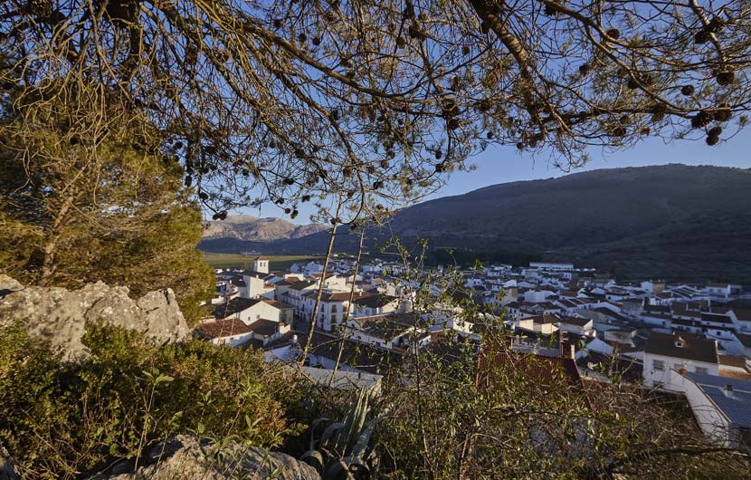 Alfarnate Malaga