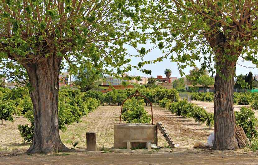 Formentera Del Seguro