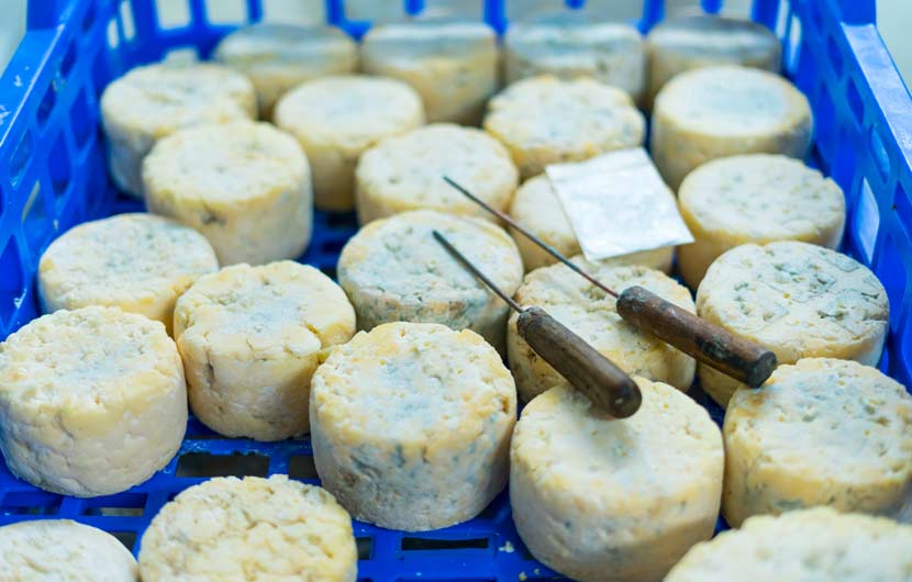 Picon Bejes Tresviso Cheese