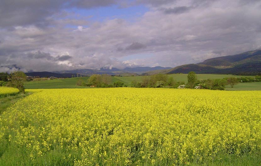 Cerdanya