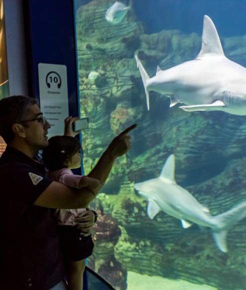 Oceanographic Guided Tours