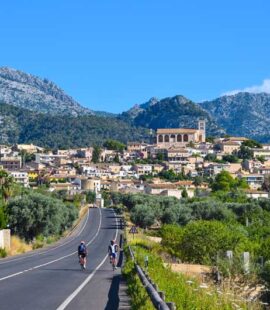 Selva Majorca