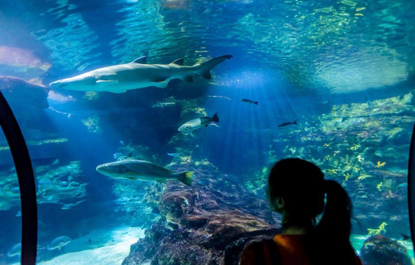Barcelona Aquarium