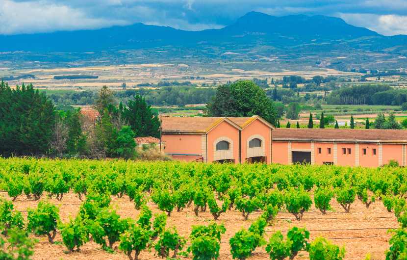Rioja Wine Region