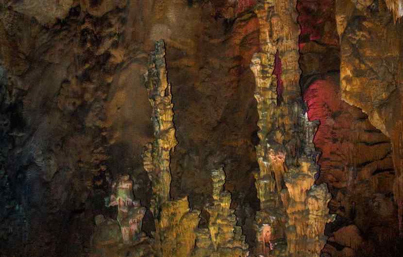 Caves of Canelobre - Alicante Spain