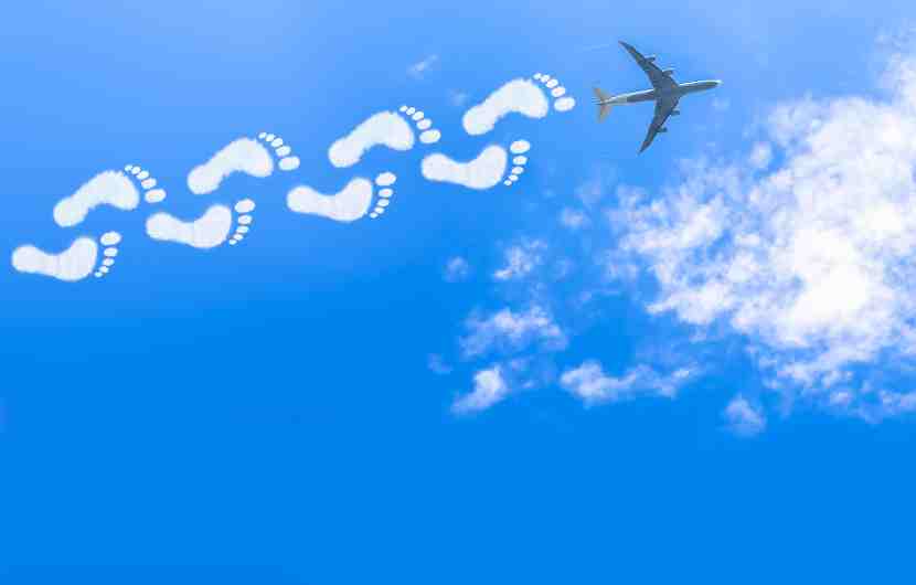 Carbon Footprint