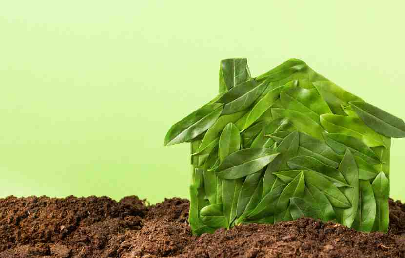 Eco Friendly Accommodation