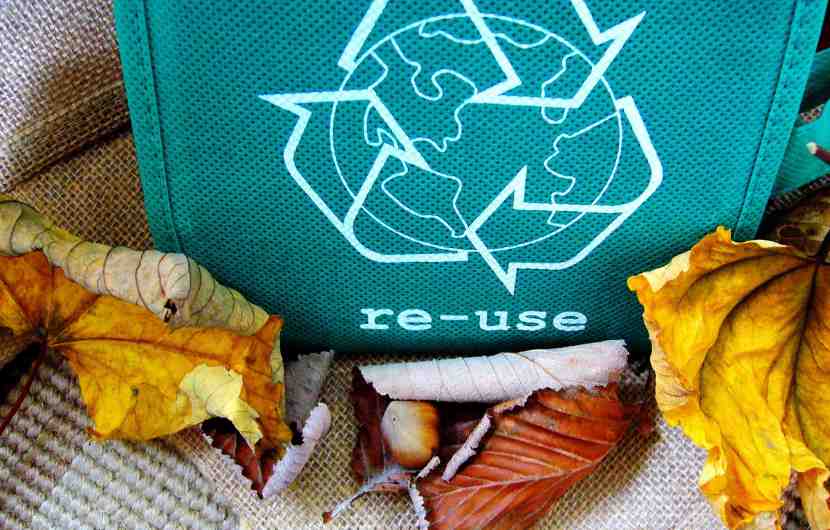 Reusable Bags