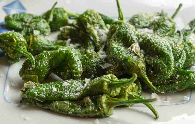 Pimientos de Padron