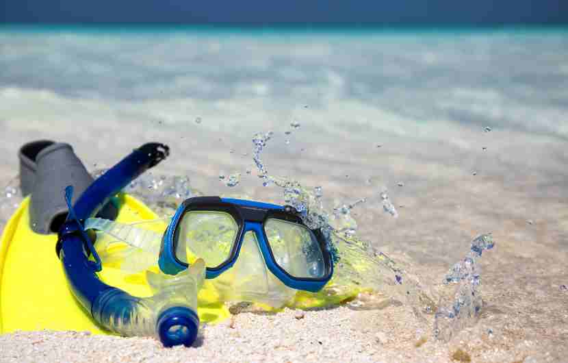 Snorkeling Gear