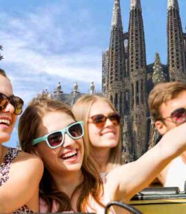 Shoreline Sightseeing Excursion