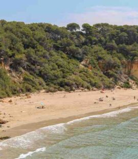 Fonda Beach Barcelona