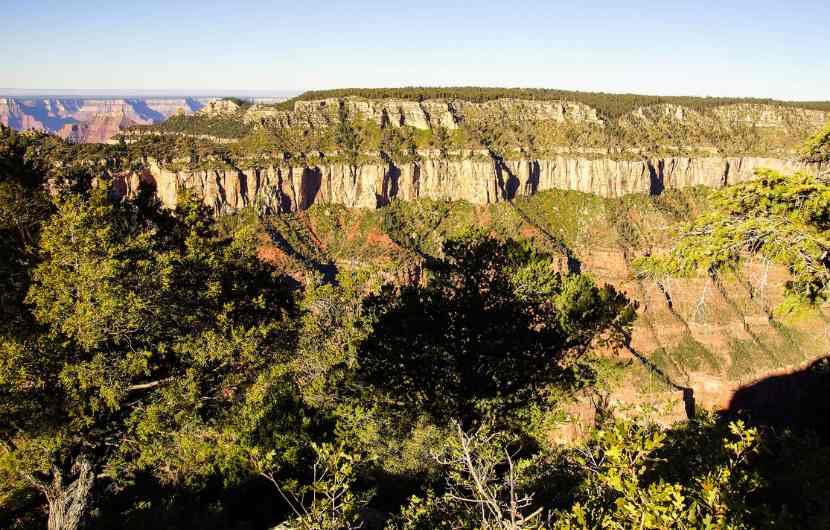 Selva de Oza - Aragon