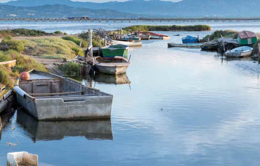 Delta de l'Ebre Nature Park