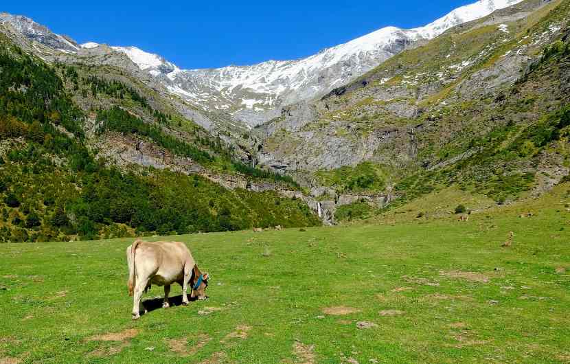Ordesa & Monte Perdido National Park