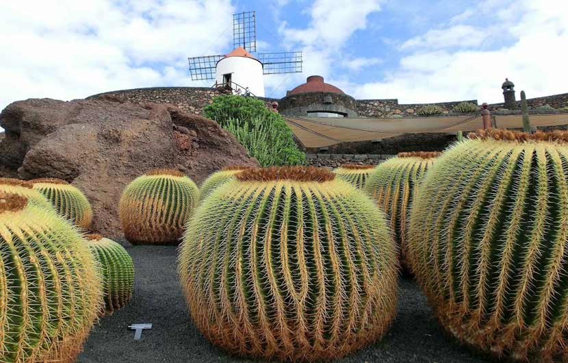 Timanfaya Lanzarote