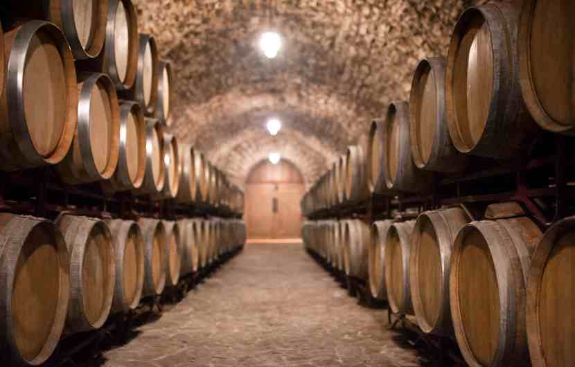Cangas de Narcea Wine Cellars